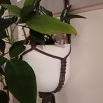 Hangers by Paula 🌿💚 - @hangersbypaula - Instagram