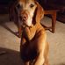 Paula Hanks - Facebook