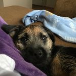 Paula Harding - @paula136 - Instagram