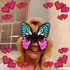 Paula Harner - @paulaharner - TikTok