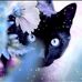 Paula Harr - Facebook