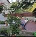 Paula Harrer - Facebook