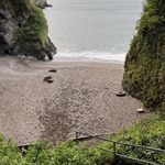 Paula Harrison - @paulaharrisonauthor - Instagram