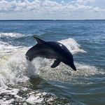 Paula Beachley Hatcher - @beachleyhatcher - Instagram