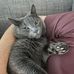 Paula Hauser Van Brocklin - Facebook