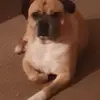 paula rockenhauser - @paularockenhauser - TikTok
