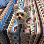 Paula Haynes - Facebook