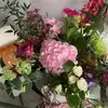 user403671734333 - @paula_healy21 - TikTok