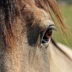 Paula L. Hecker Photography - Facebook