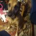 Paula Hedrick - Facebook