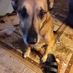 Paula Hedrick - @hedrick1063 - Instagram