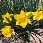 Paula Hedrick Durham - @paula.hedrick.durham - Instagram
