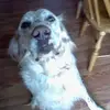 Paula - @paulahefner862 - TikTok
