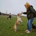 Paula Hein - Facebook