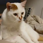 Paula Hein - @heinpaula23711 - Instagram