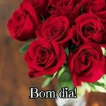 ana paula hepp - @anapaula.hepp - Instagram