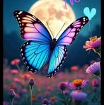Paula Hepp - Facebook