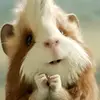 Paula - @paulaherrmann - TikTok