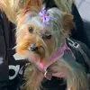 Paula - @paulahettinger61 - TikTok
