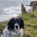 Paula Hilton - Facebook