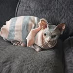 Paula Houser - @houserpaula75 - Instagram