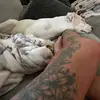 Paula Howard - @paula.howard8 - TikTok