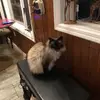 Paula Howard - @paula_8130 - TikTok