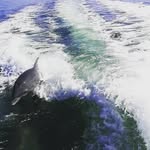 Paula howes - @shrimpersgirl6 - Instagram