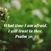 Paula Howes - Facebook