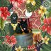 Paula Hullock - Facebook