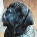 Paula Jamison - Facebook