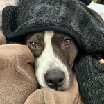 Paula Jerome - @picklesandruca - Instagram