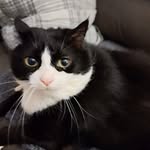 Paula Tanner Jerome - @pauly_pickles123 - Instagram