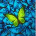 Paula Joiner - Facebook