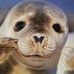 Paula Kaiser - Facebook