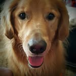 Paula Pettit Kaiser - @kaiser5239 - Instagram