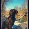 paulakaiser478 - @paulakaiser478 - TikTok
