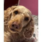 Paula Kee - Facebook