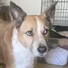 Paula Kelley - @paula.kelley24 - TikTok