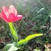 Paula Khan - Facebook