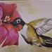 Paula Kidd - Facebook