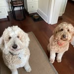 Paula Skinner - @paulakileyskinner - Instagram