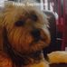 Paula Killion - Facebook