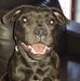 Paula Klim - Facebook