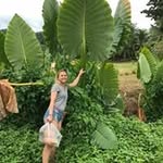 Paula Klimke - @paulaklimke - Instagram