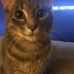 Paula Knapp - Facebook