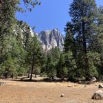 Paula Seibert Knapp - @pesknapp - Instagram