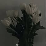 Paula Köhler - @paulakohler532 - Instagram
