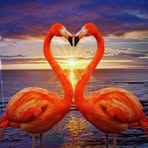 Paula Koonce - Facebook