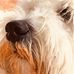 Paula Kula - Facebook